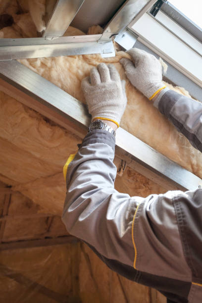 Best Fiberglass Insulation in South River, NM